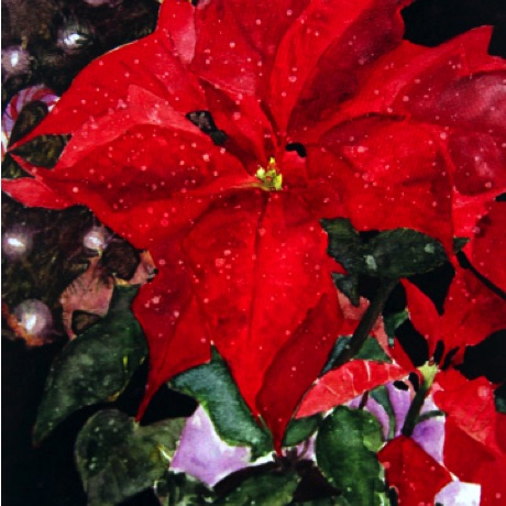 Poinsettias #1
15x11 Poinsettias #1
15x11